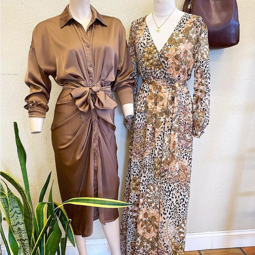 Elegant Brown/Taupe Button-Down with Dress